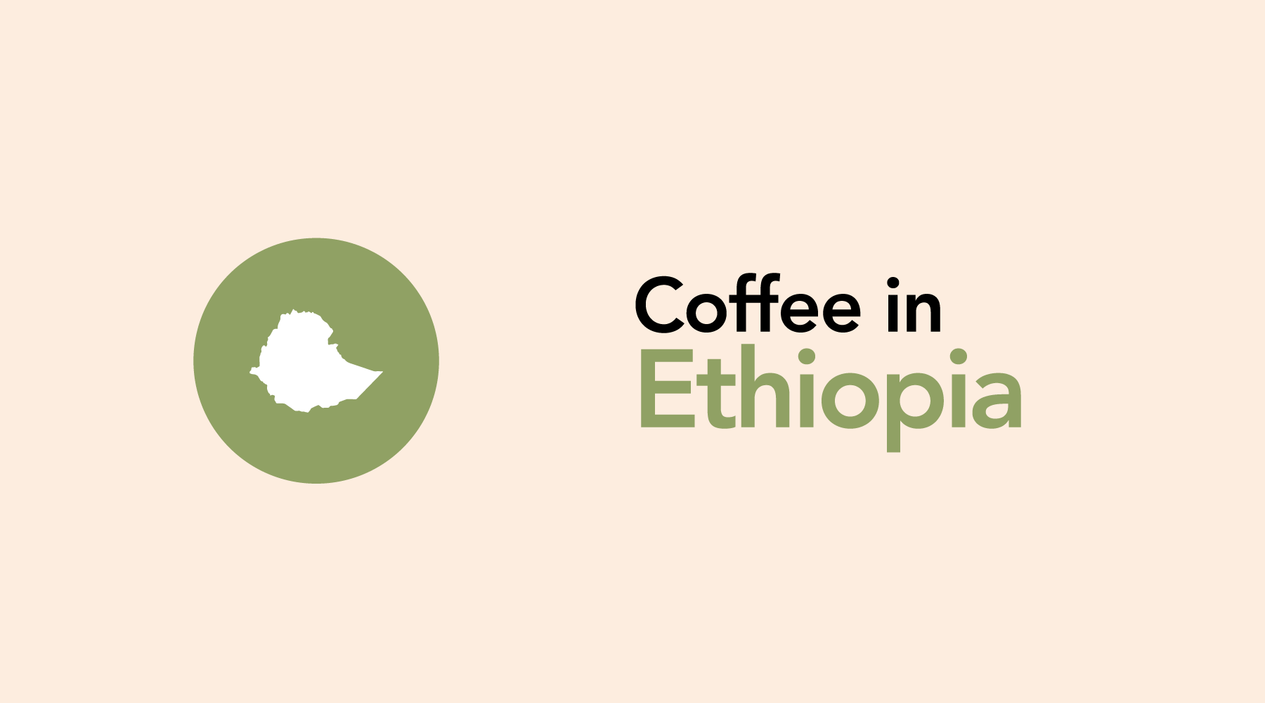 Ethiopia | A Coffee Origin Story, Unique Flavor Profile, and Fan Favorite