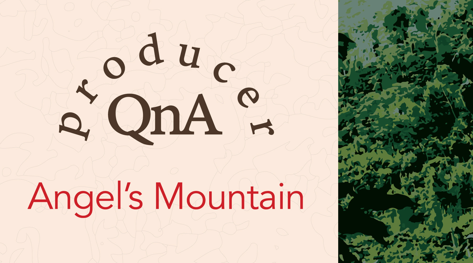 Get to Know the Angel’s Mountain Coffee Farm in El Salvador