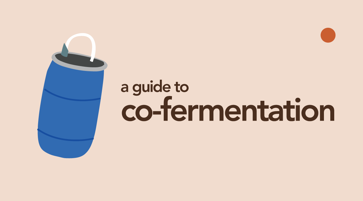 Coffee Co-Fermentations | We Don’t Know How We Feel…