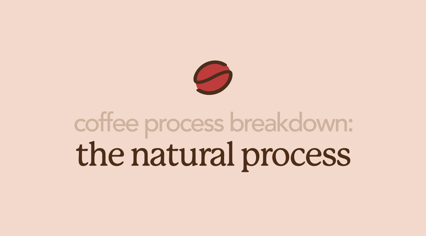 Natural Processed Coffee | The Fruit-Forward Coffee Process