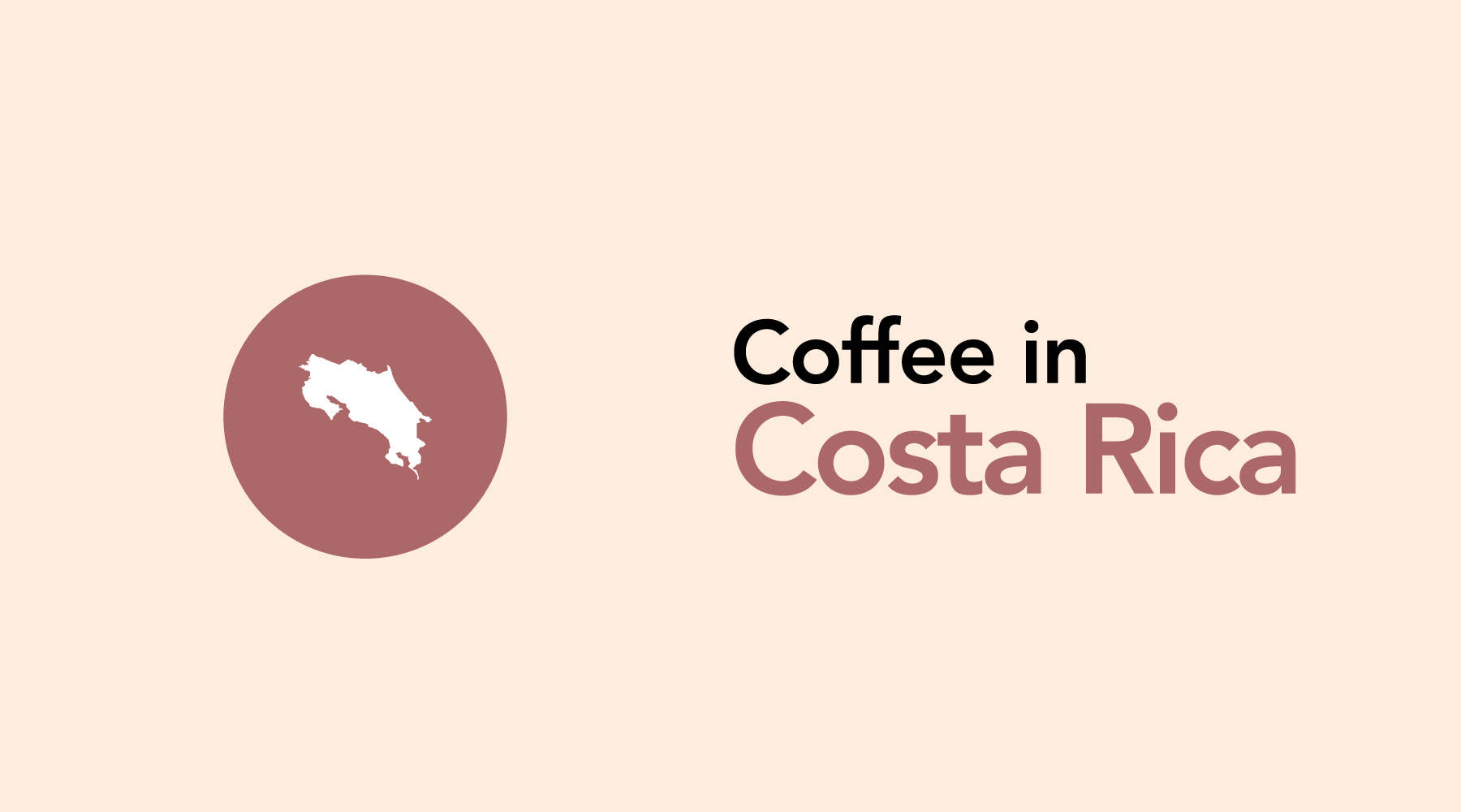 Costa Rica | Beaches, Rainforests, and High-Quality Coffee