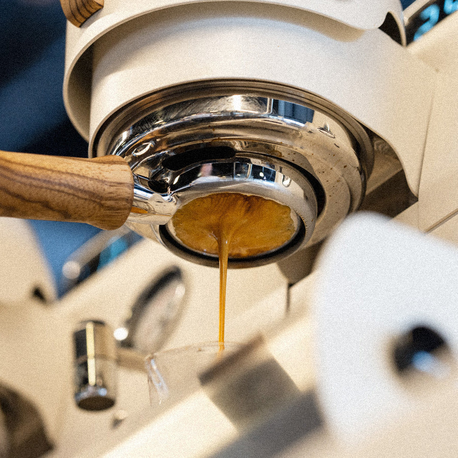 The Journey of Coffee | The Brew