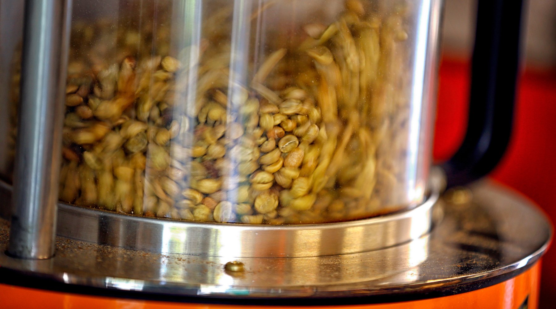 IN DEPTH - STRATA COFFEE ROASTING