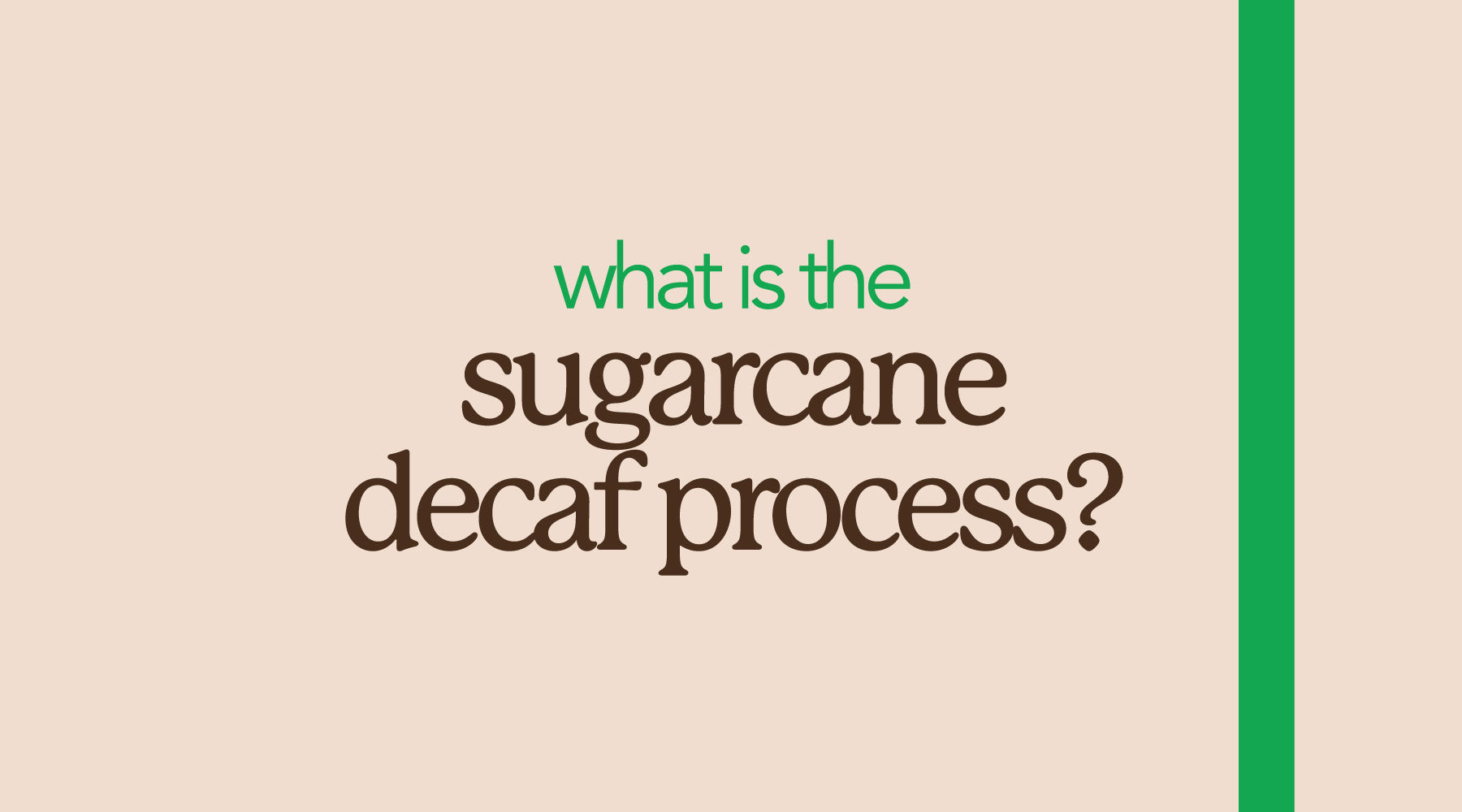 The Sugarcane Decaf Process Explained