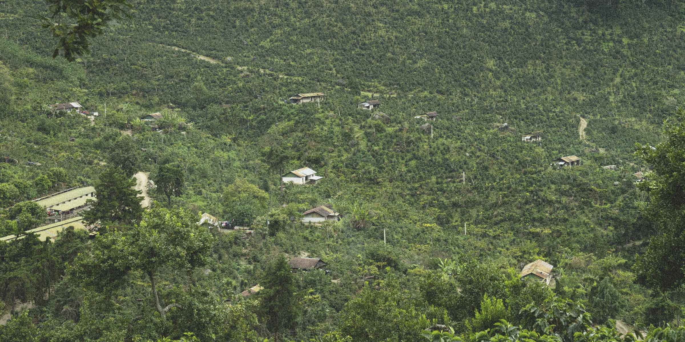 Houses and coffee facilities sitting within multiple coffee farms