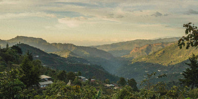 Hilly landscape of the mountains of Huehuetanango with greenery and a few buildings, under a cloudy sky.