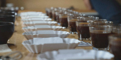 Multiple cups on a table for a specialty coffee cupping