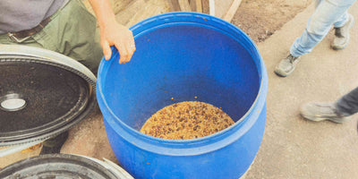 Specialty coffee fermenting in a bucket