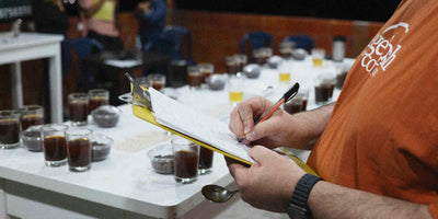 Someone taking notes about coffee during a coffee cupping
