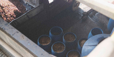 Coffee fermenting in multiple barrels