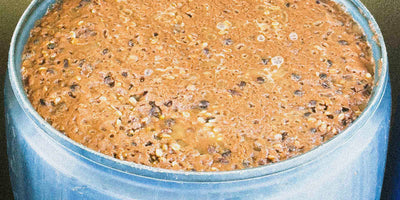 Coffee beans fermenting in a barrel