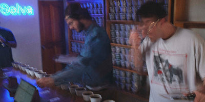 Jonathan and Grant cupping multiple coffees