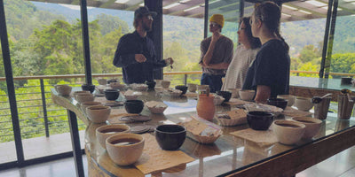 Specialty coffee cupping in Panama
