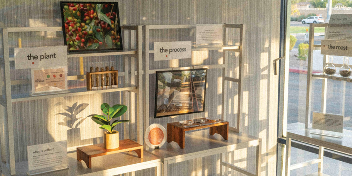 Display with various educational items including a plant, framed pictures, and a small table.