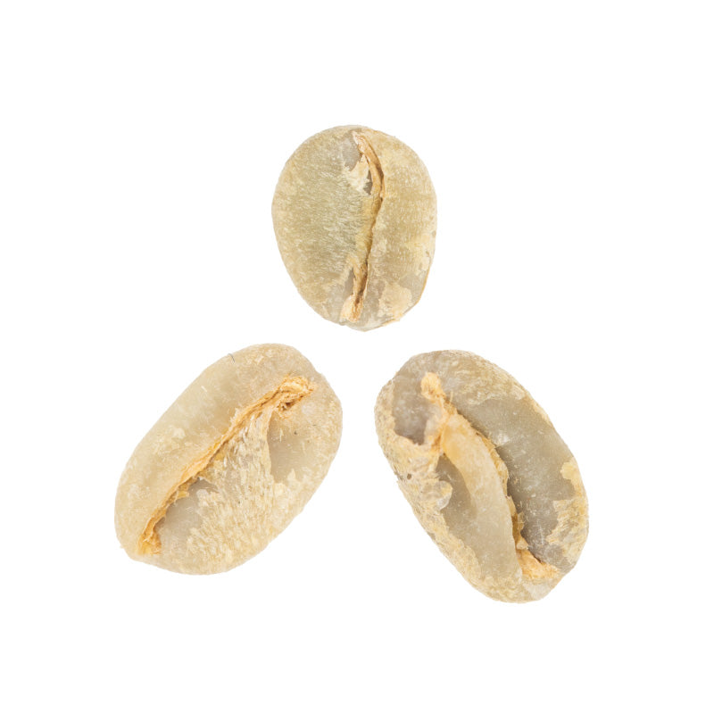 Three raw coffee beans on a white background