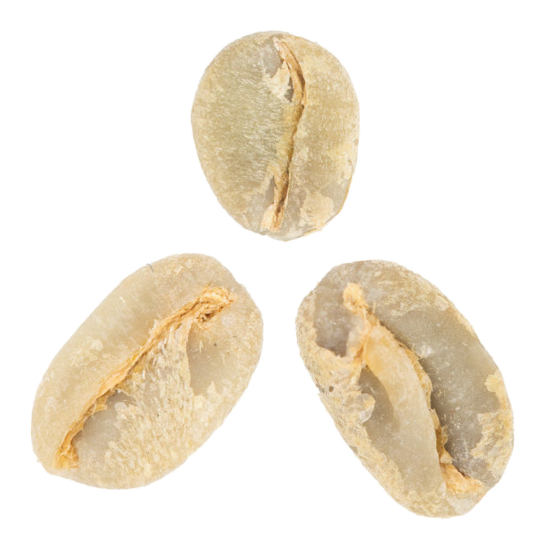 heirloom coffee variety green coffee beans