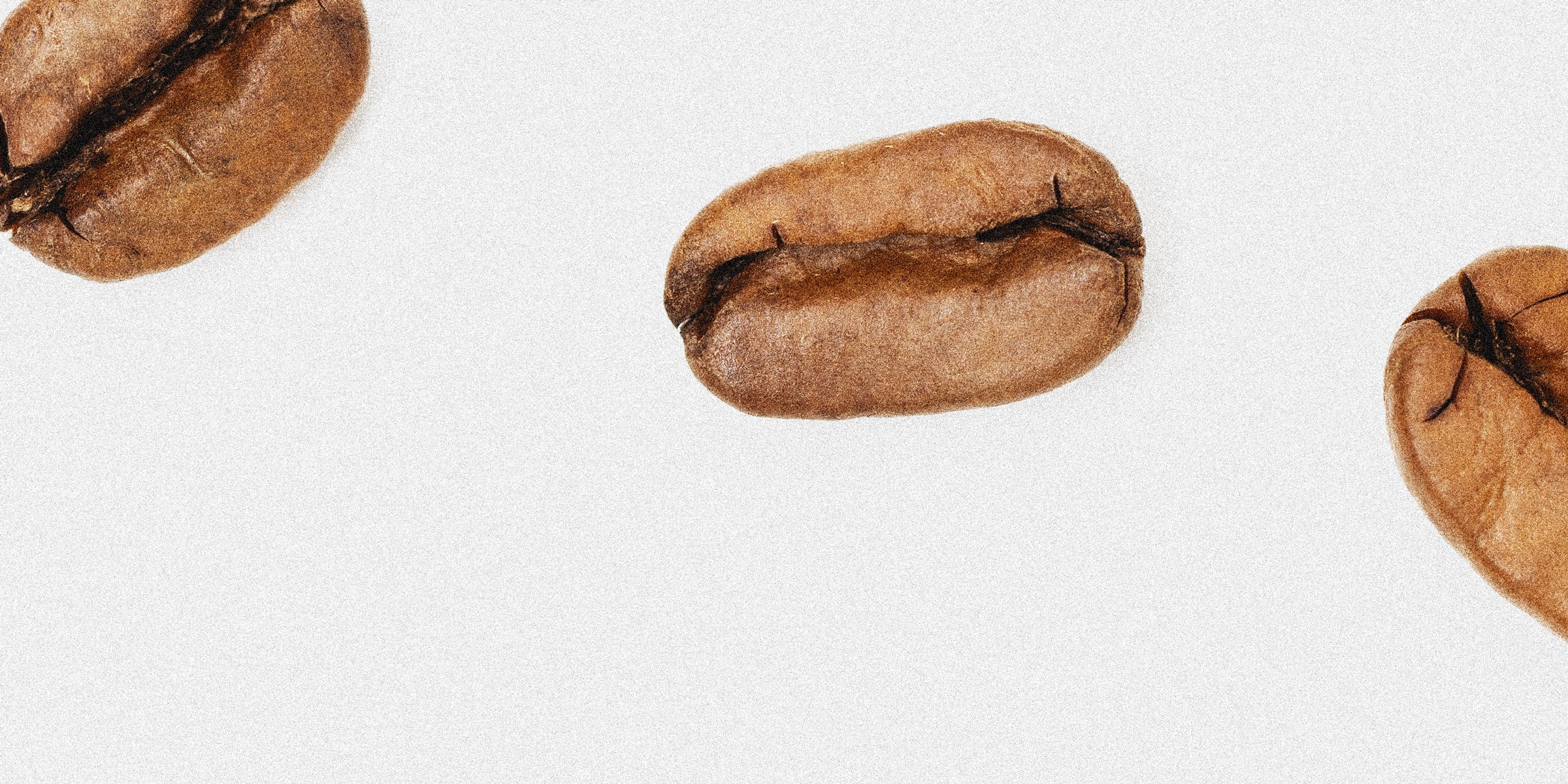 Three coffee pacamara beans on a white background
