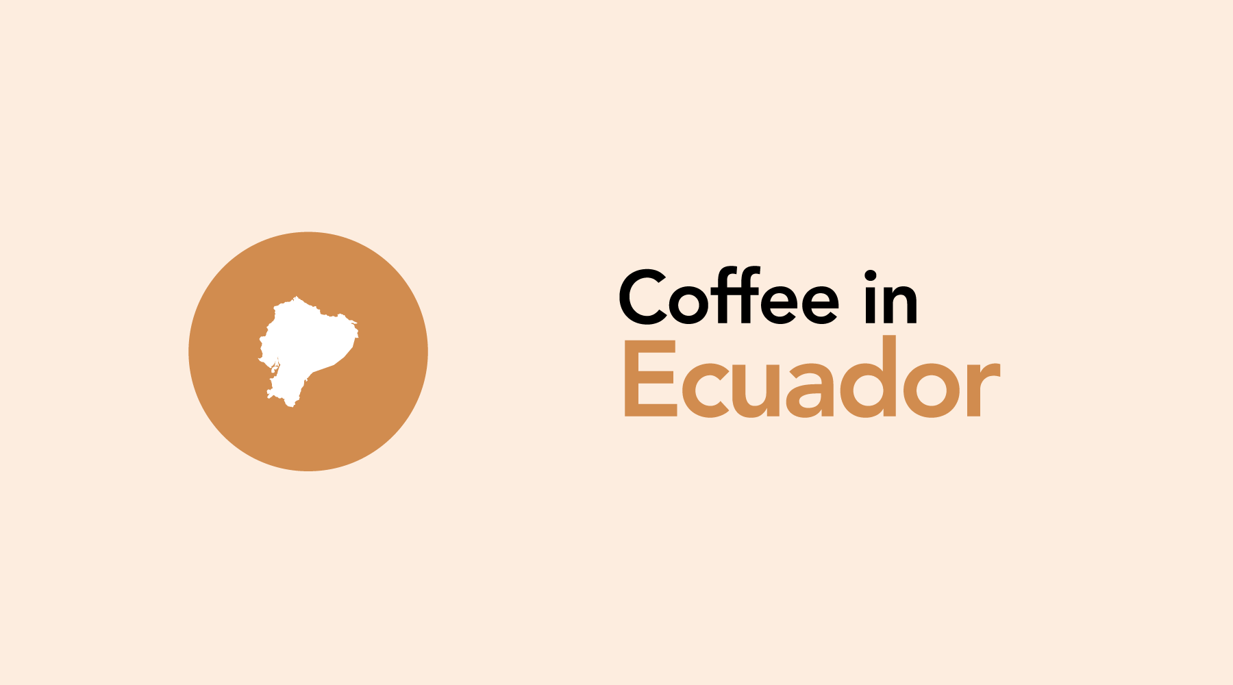 Ecuador | A Small Country With Huge Potential in the Coffee World