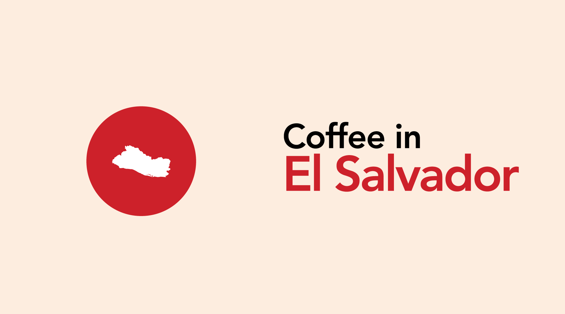 El Salvador | Where Economic Success is Fueled By Coffee
