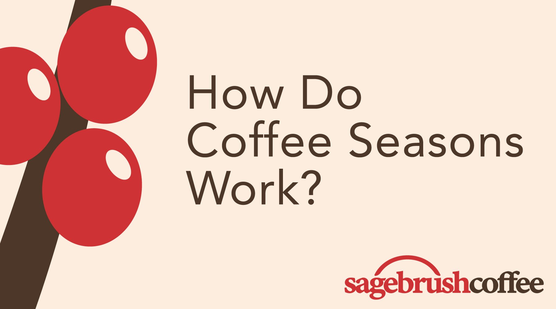 The Seasonality Of Coffee