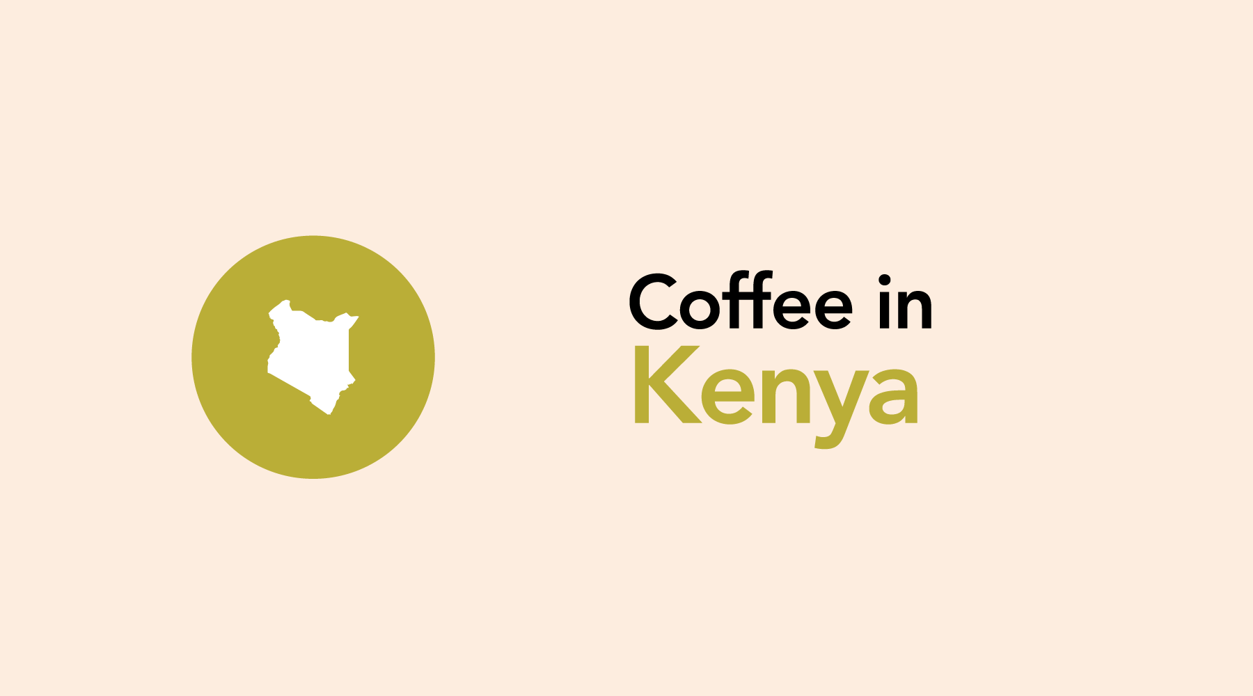Kenya | An Innovative Pathmaker in Coffee