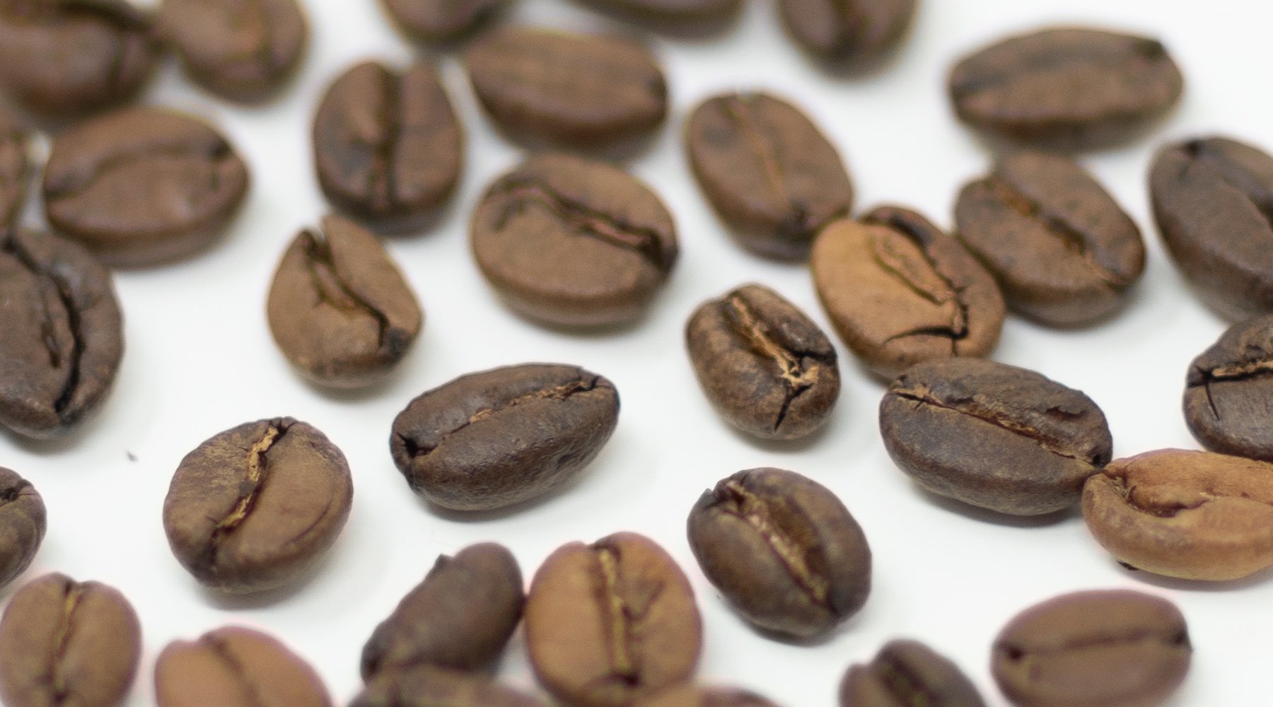 A Sagebrush Coffee Explanation of Light Roast Coffee Beans