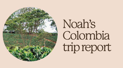 Colombia Best Cup Trip | Noah's Perspective