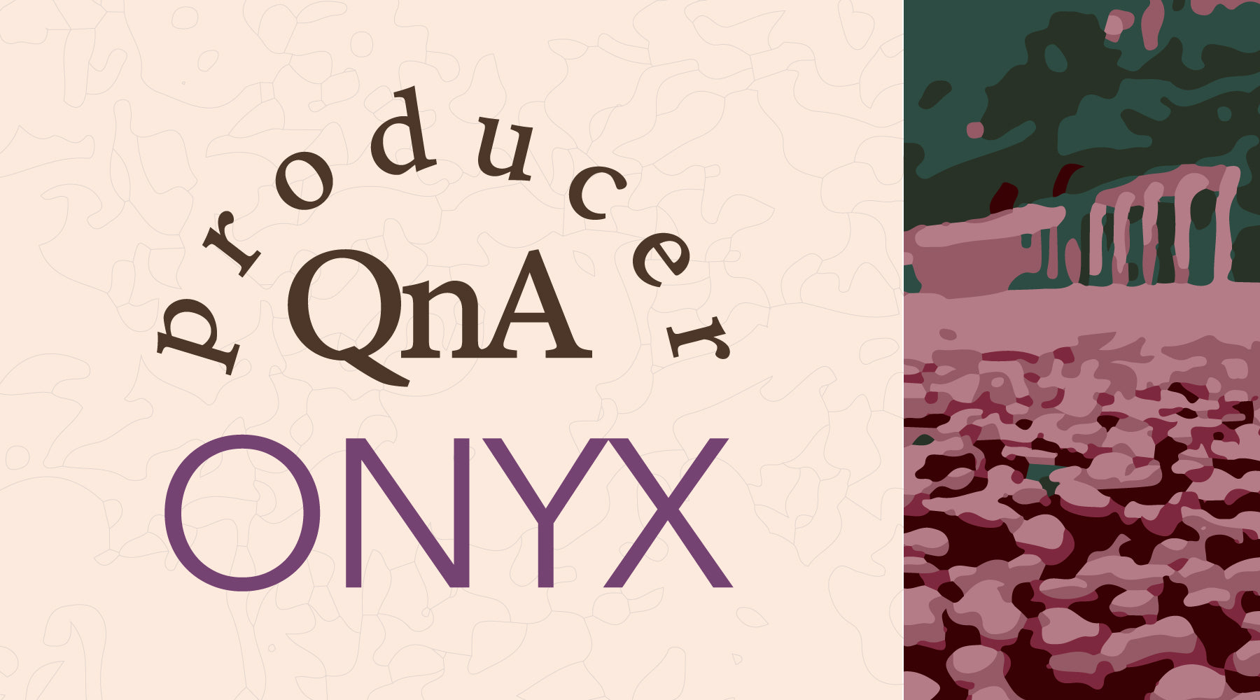 Get to Know ONYX Coffee | Our Direct Supplier of Guatemalan Coffee