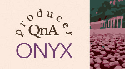 Get to Know ONYX Coffee | Our Direct Supplier of Guatemalan Coffee