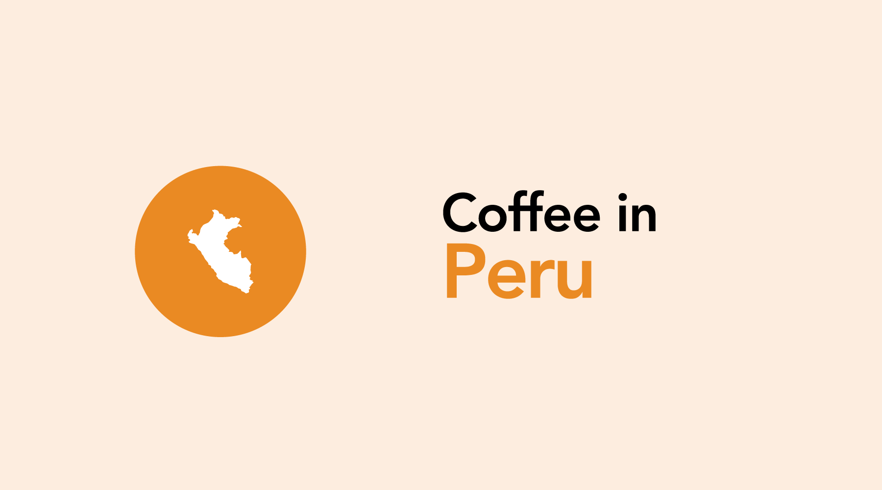 Peru | Creating Coffee Co-Ops to Improve Quality and Help Farmers