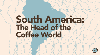 South America | The Head of the Coffee World