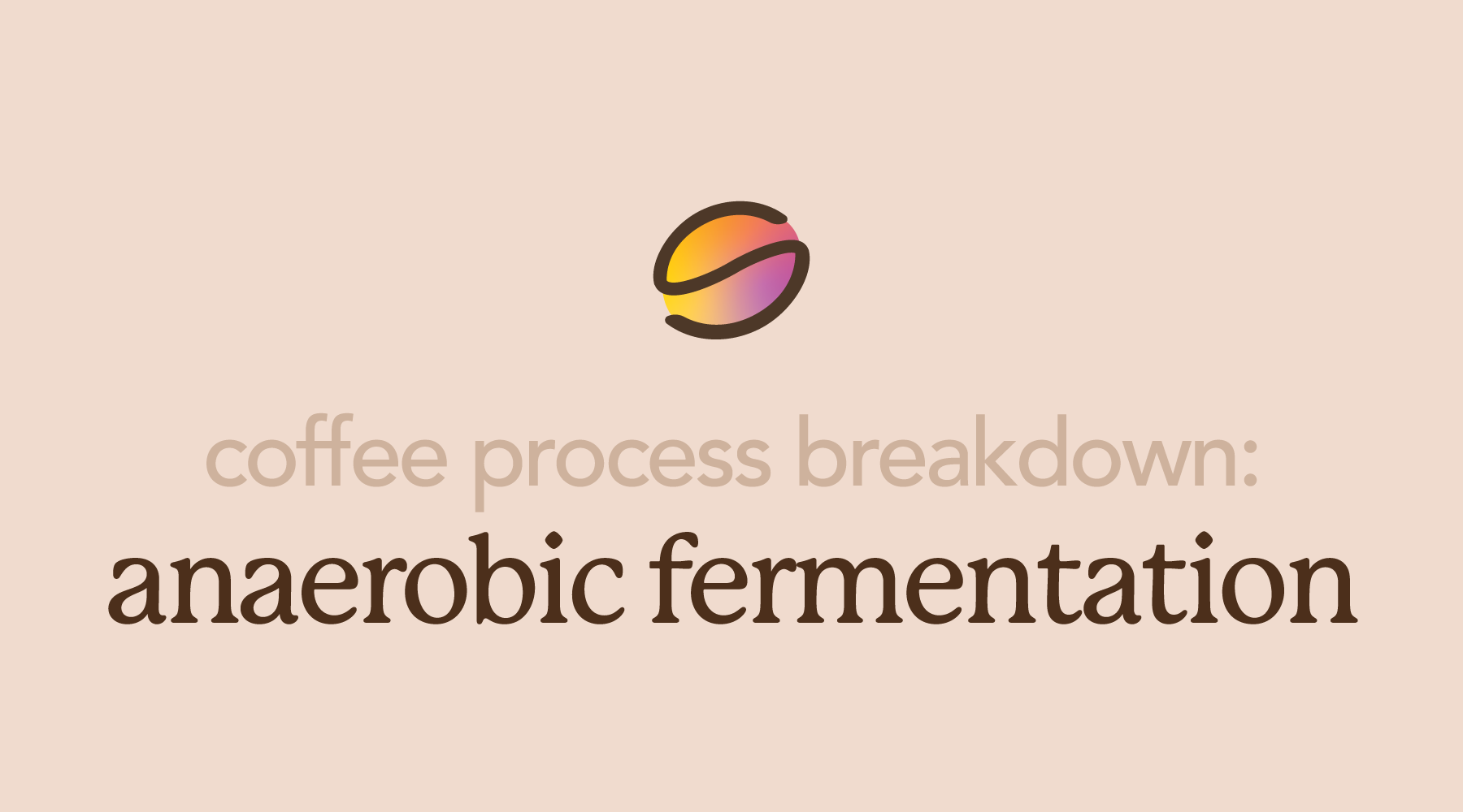 Anaerobic Fermentation Explained