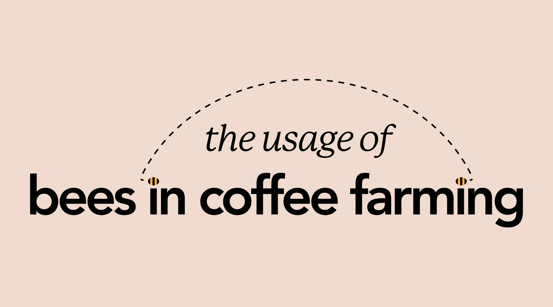All the Buzz! | The Usage of Bees in Coffee Farming