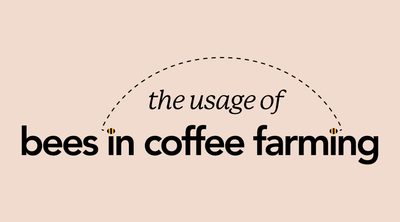 All the Buzz! | The Usage of Bees in Coffee Farming