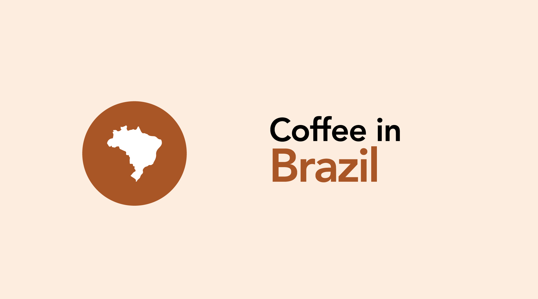 Brazil | The World's Leading Coffee Producer