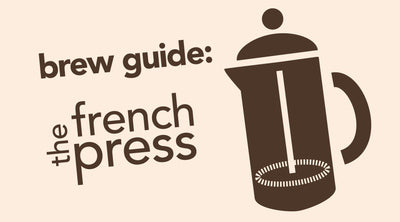 How to Brew with the French Press