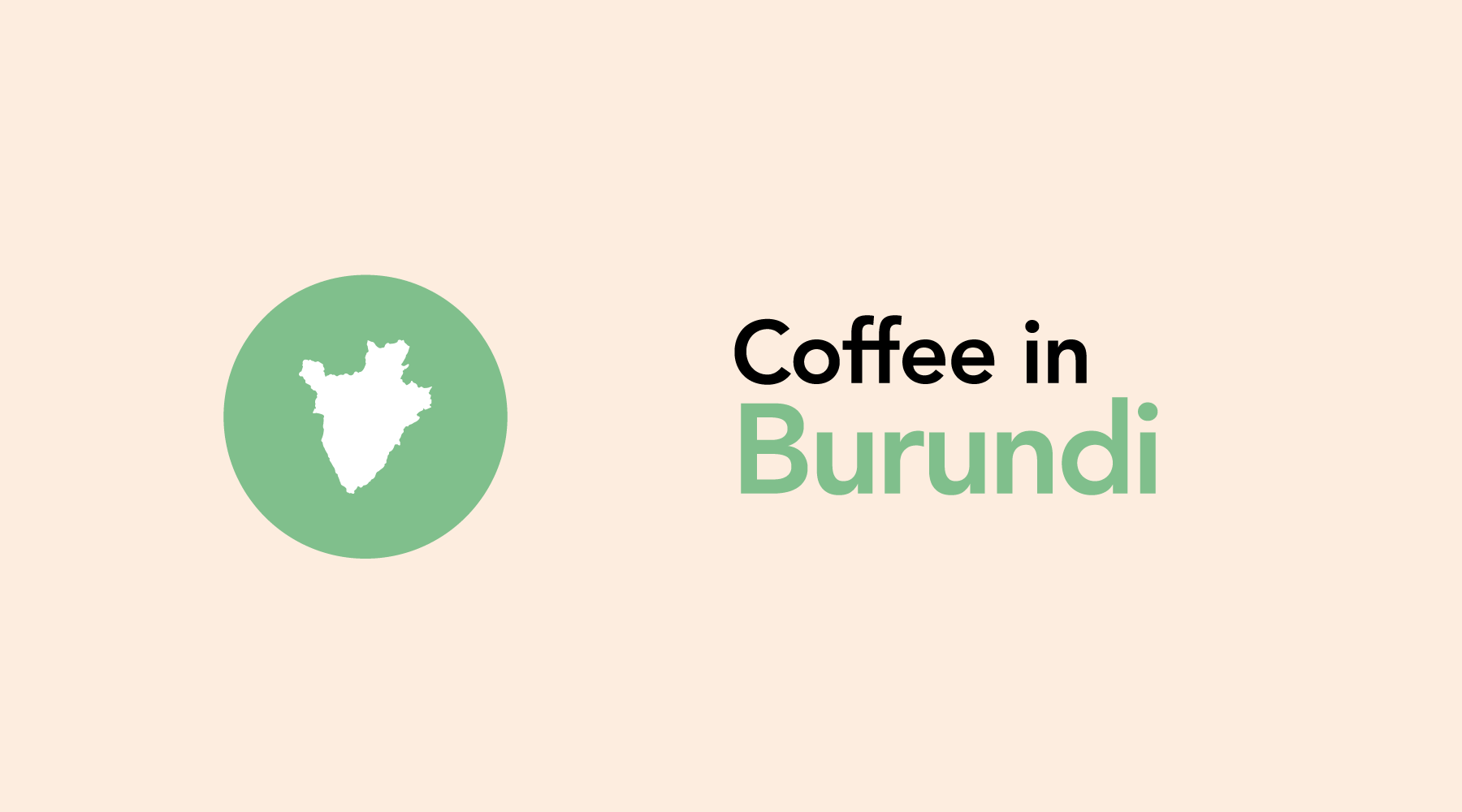 Burundi | Defying Obstacles & Becoming a Force in the Coffee World