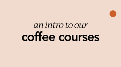An Intro to our Coffee Courses