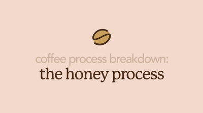 Honey Processed Coffee | Coffee's Sweetest Process
