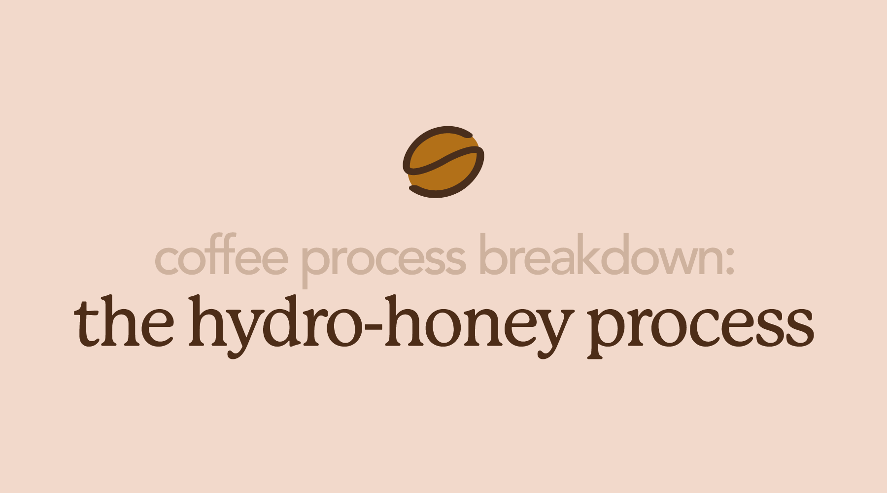 Hydro-Honey Processed Coffee | A Unique Hybrid Technique