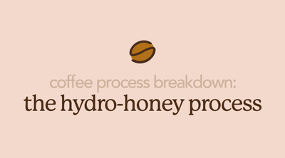 Hydro-Honey Processed Coffee | A Unique Hybrid Technique