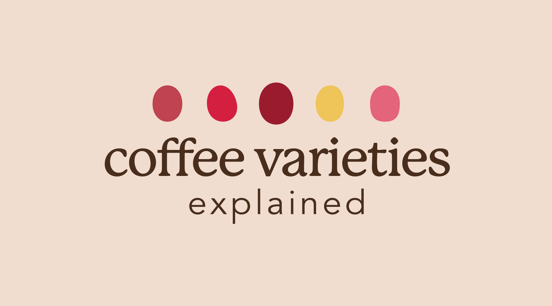 Coffee Varieties Explained in Two Stories 