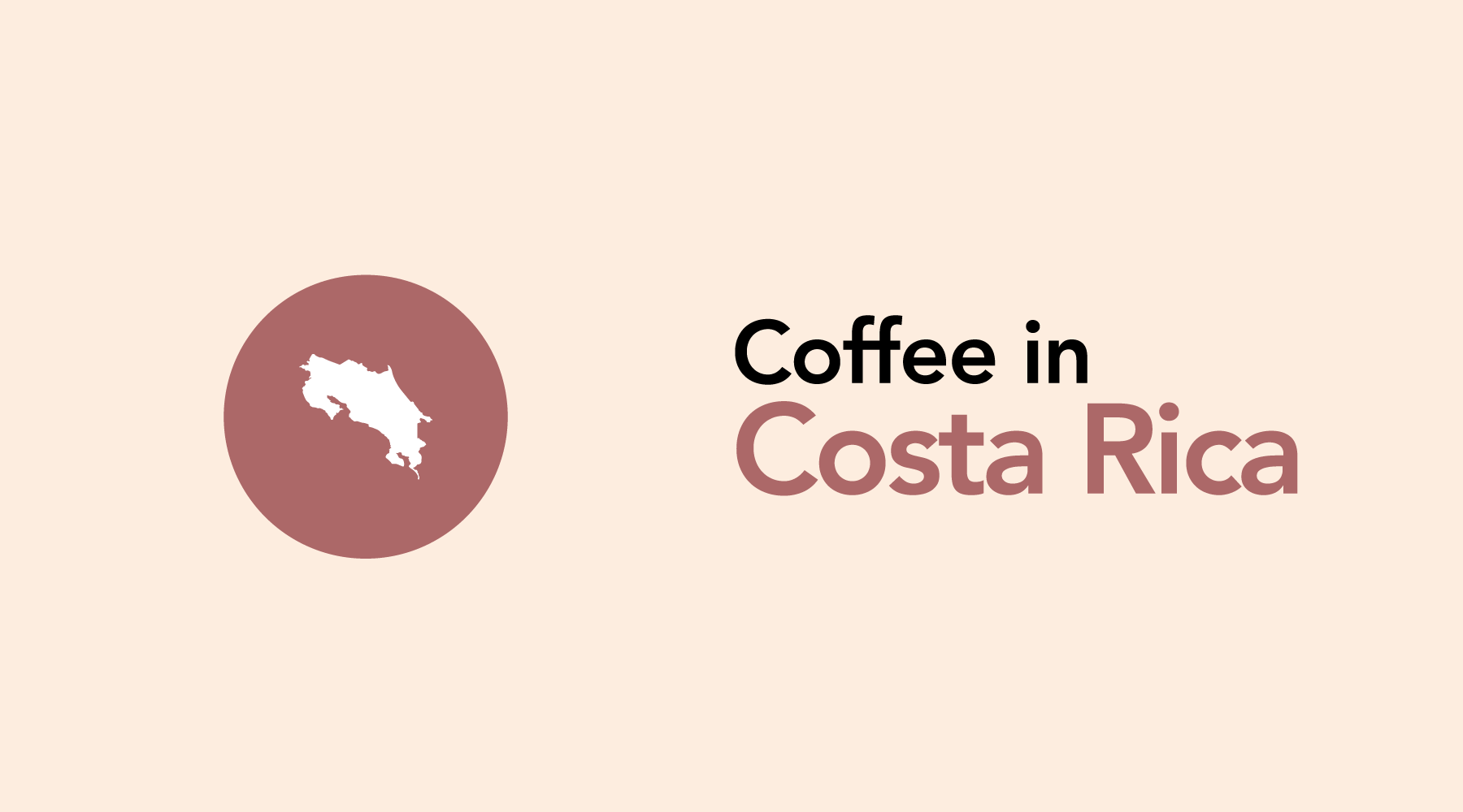 Costa Rica |  Beaches, Rainforests, and High-Quality Coffee