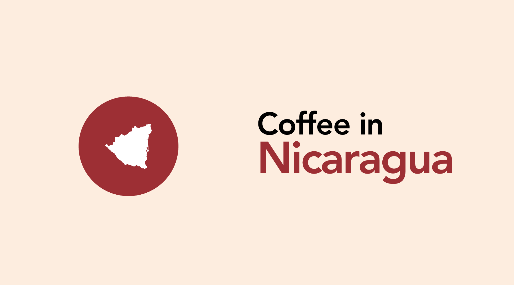 Nicaragua | A Wide Variety of Coffee with a Challenging History