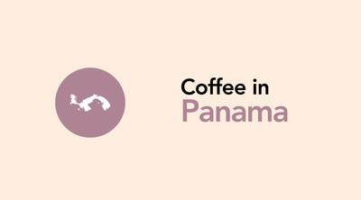 Panama | A Frontrunner in Specialty Coffee