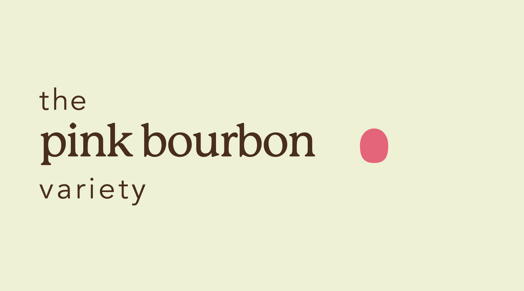Text of graphic for Sagebrush coffee educational blog saying "the pink bourbon variety"