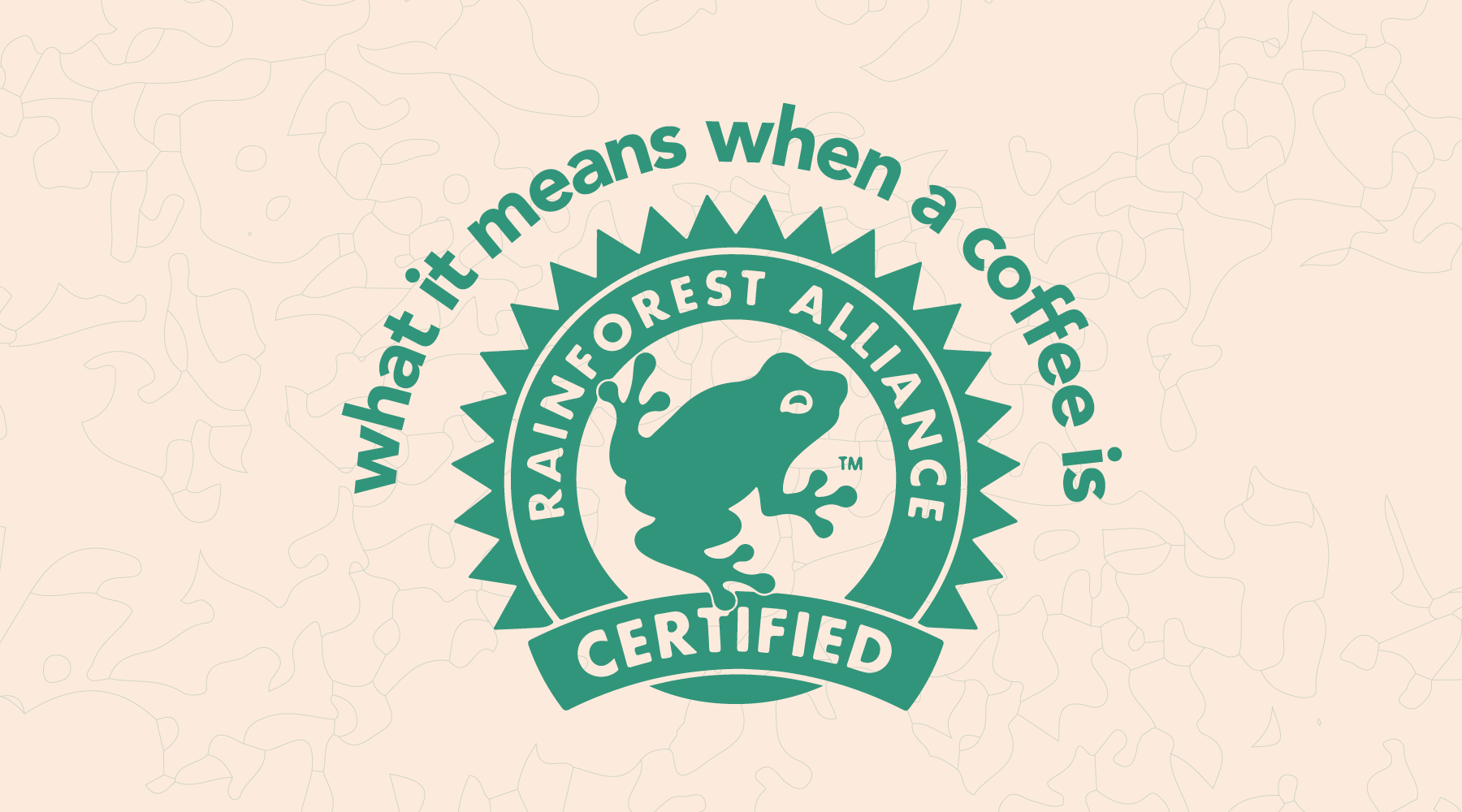 What it Means When Coffee is "Rainforest Alliance" Certified
