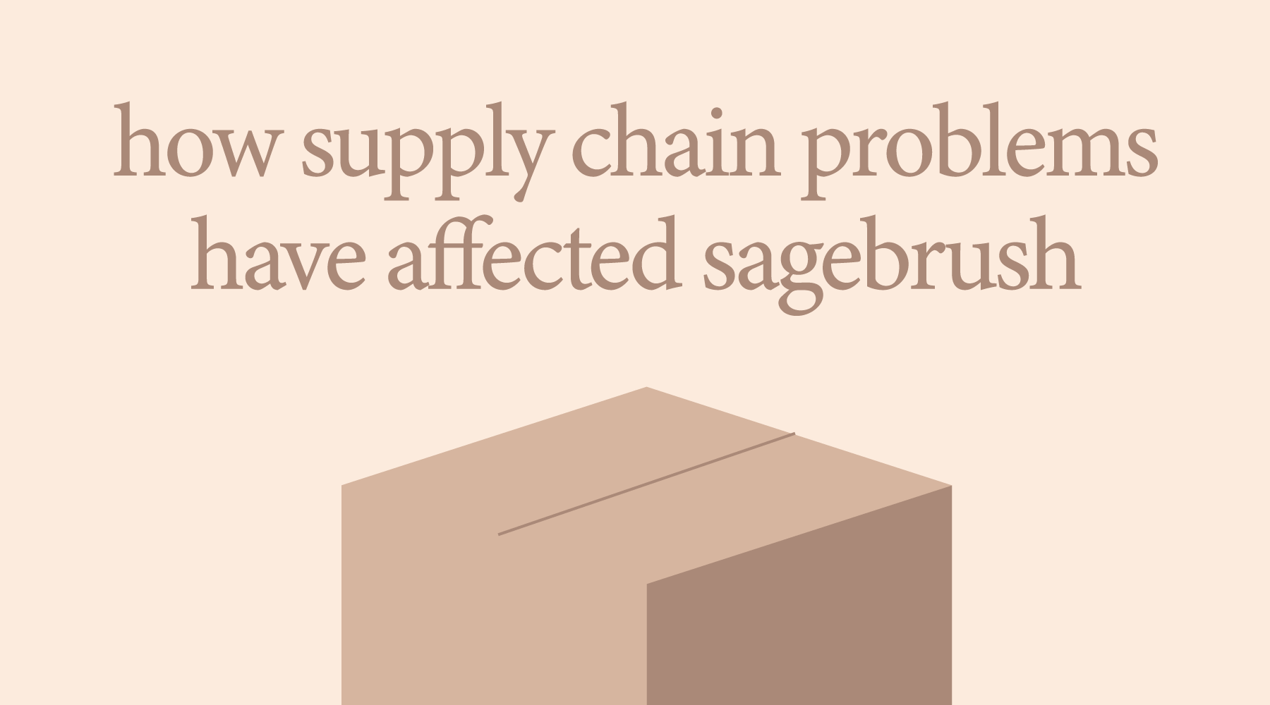 How Supply Chain Problems Have Affected Sagebrush