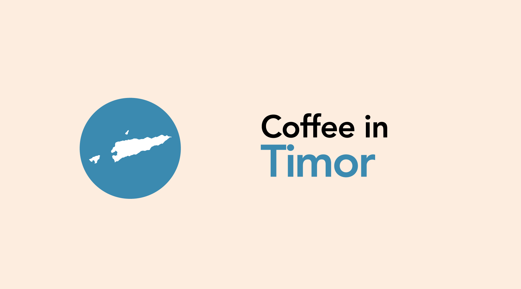 Timor | An Origin with Great Potential for Coffee’s Continued Future