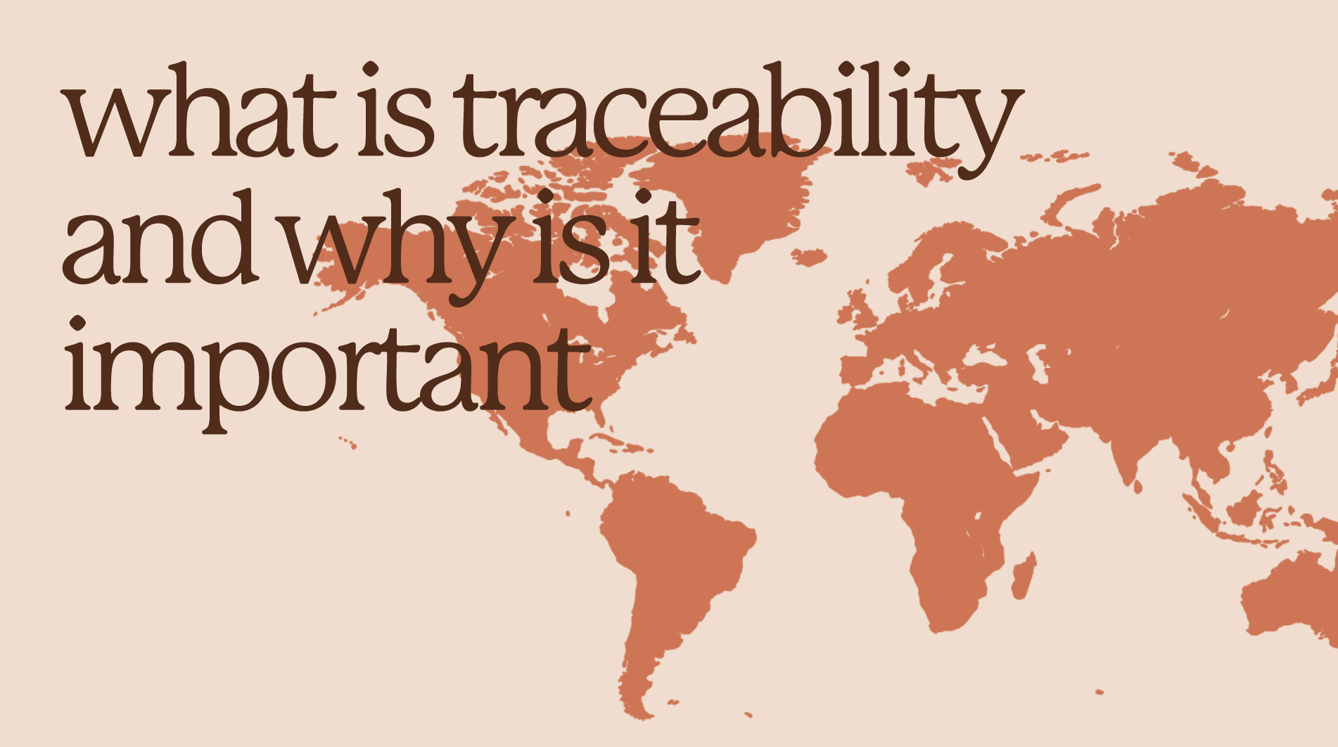 Coffee Traceability | What is it & Why is it Important?